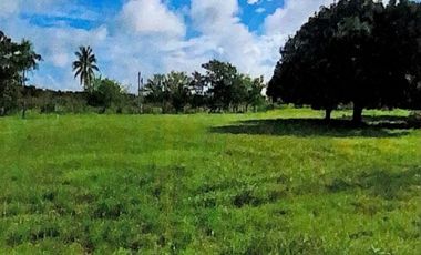 Vendo Terreno en Punta Barco, San Carlos