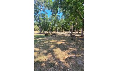 TU NUEVO HOGAR EN CORONADO