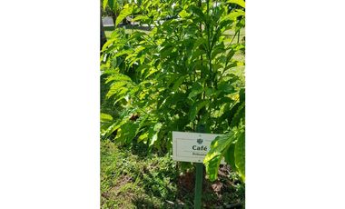 TU NUEVO HOGAR EN CORONADO