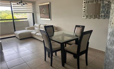 Alquiler de apartamento en Condado del Rey