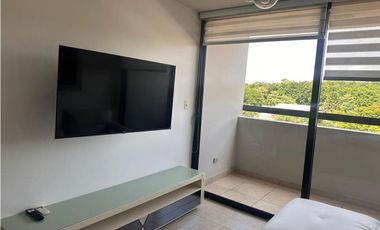 Alquiler de apartamento en Condado del Rey