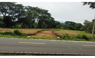 Lote ubicado en el corregimiento las tinajas Dolega balita  Chiriquí