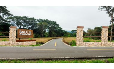 Lote ubicado en el corregimiento las tinajas Dolega balita  Chiriquí
