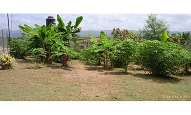 Casa en Venta en Chepo