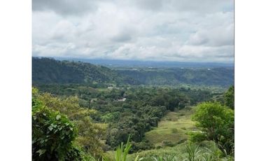 Venta de finca de agroturismo en Renacimiento