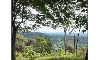 Venta de finca de agroturismo en Renacimiento
