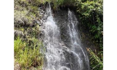 Venta de finca de agroturismo en Renacimiento