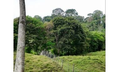 Venta de finca de agroturismo en Renacimiento