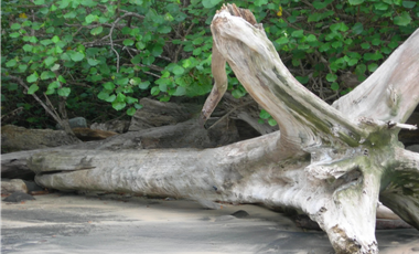 Se Vende Isla en el Archipiélago de las Perlas