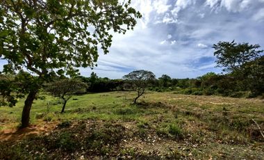Venta de terreno en Hacienda Country Club, 11,952.08 m2 RB