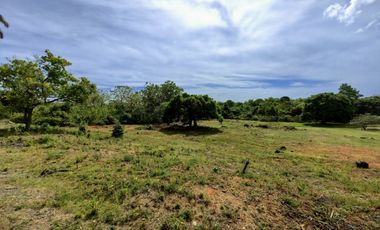 Venta de terreno en Hacienda Country Club, 11,952.08 m2 RB