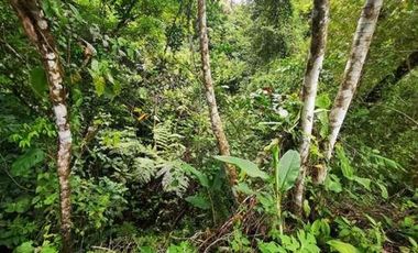 Terreno en venta en Altos del María