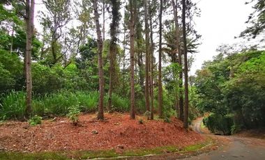 Venta de terreno en Altos de María, El Encanto