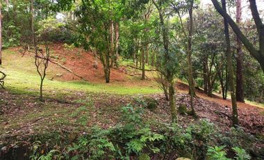 Venta de terreno en Altos de María, El Encanto