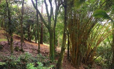 Venta de terreno en Altos de María, El Encanto