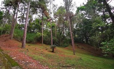 Venta de terreno en Altos de María, El Encanto