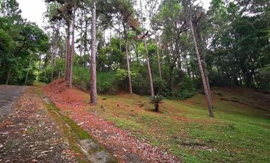 Venta de terreno en Altos de María, El Encanto