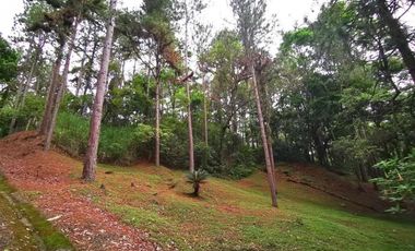 Venta de terreno en Altos de María, El Encanto