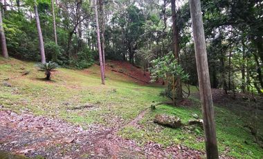 Venta de terreno en Altos de María, El Encanto
