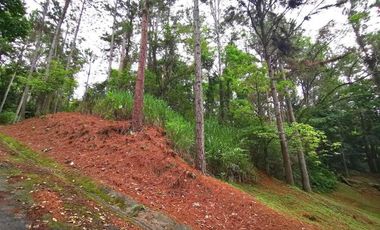 Venta de terreno en Altos de María, El Encanto