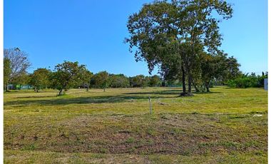 Venta de terreno en Coronado, Palmeras del Golf N°155