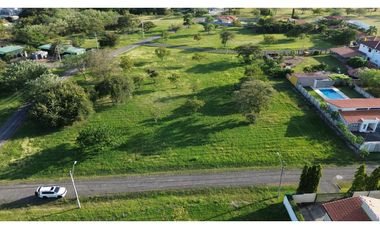 Venta de terreno en Coronado, Palmeras del Golf N°155