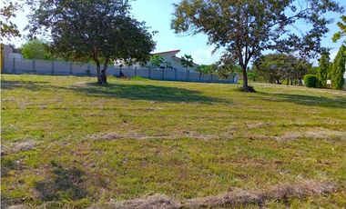 Venta de terreno en Coronado, Palmeras del Golf N°155