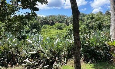 Casa amoblada en venta en Bocas del Toro .