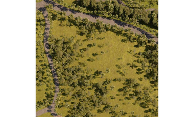 Terreno en Venta San Carlos