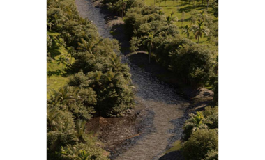 Terreno en Venta San Carlos