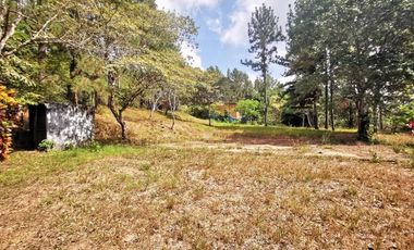Terreno con casa en venta en Cerro Azul, Panamá RB