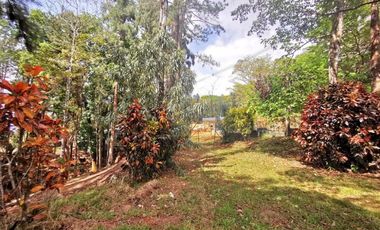 Terreno con casa en venta en Cerro Azul, Panamá RB