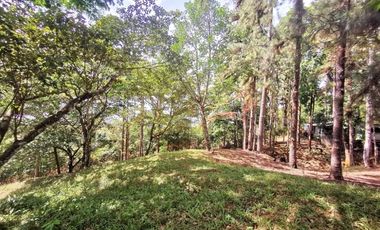 Terreno con casa en venta en Cerro Azul, Panamá RB
