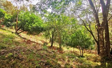 Terreno con casa en venta en Cerro Azul, Panamá RB