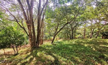 Terreno con casa en venta en Cerro Azul, Panamá RB