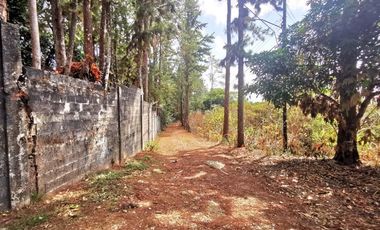 Terreno con casa en venta en Cerro Azul, Panamá RB