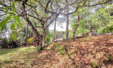 Terreno con casa en venta en Cerro Azul, Panamá RB