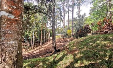 Terreno con casa en venta en Cerro Azul, Panamá RB