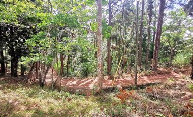 Terreno con casa en venta en Cerro Azul, Panamá RB