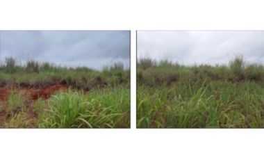 Venta de Terreno en Green Valley – Corregimiento de Pedregal