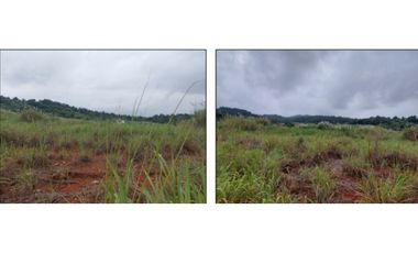 Venta de Terreno en Green Valley – Corregimiento de Pedregal