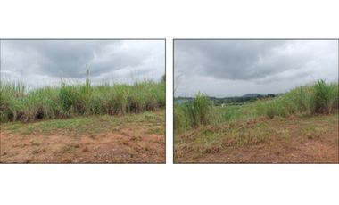 Venta de Terreno en Green Valley – Corregimiento de Pedregal