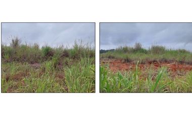 Venta de Terreno en Green Valley – Corregimiento de Pedregal