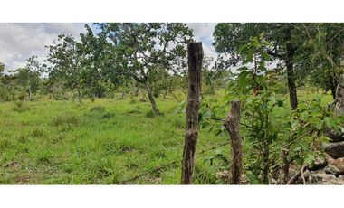 Venta de finca ganadera en Rovira Dolega