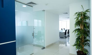 Oficina en la Torre Bicsa, Av. Balboa (ID 13370)
