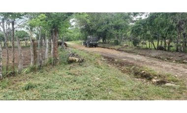 Venta de finca ganadera en Rovira Dolega