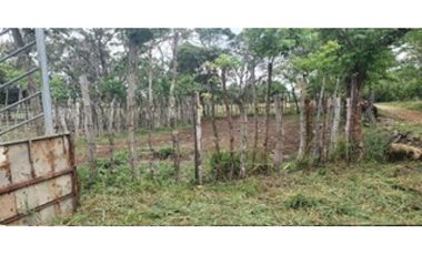 Venta de finca ganadera en Rovira Dolega