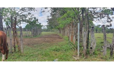 Venta de finca ganadera en Rovira Dolega