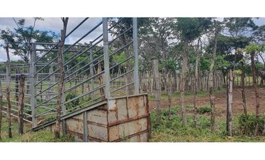 Venta de finca ganadera en Rovira Dolega