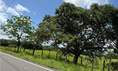 Venta de finca en San Juan de San Lorenzo